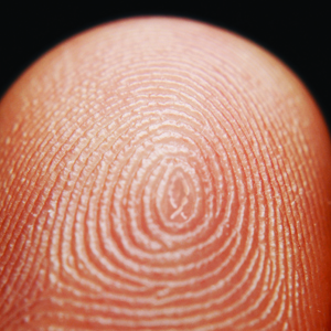 Latent Print Comparison